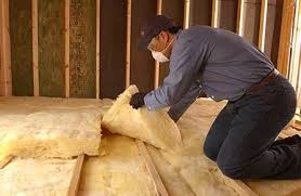 Best Insulation Removal  in Enon, VA