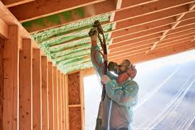 Best Eco-Friendly or Green Insulation Solutions  in Enon, VA